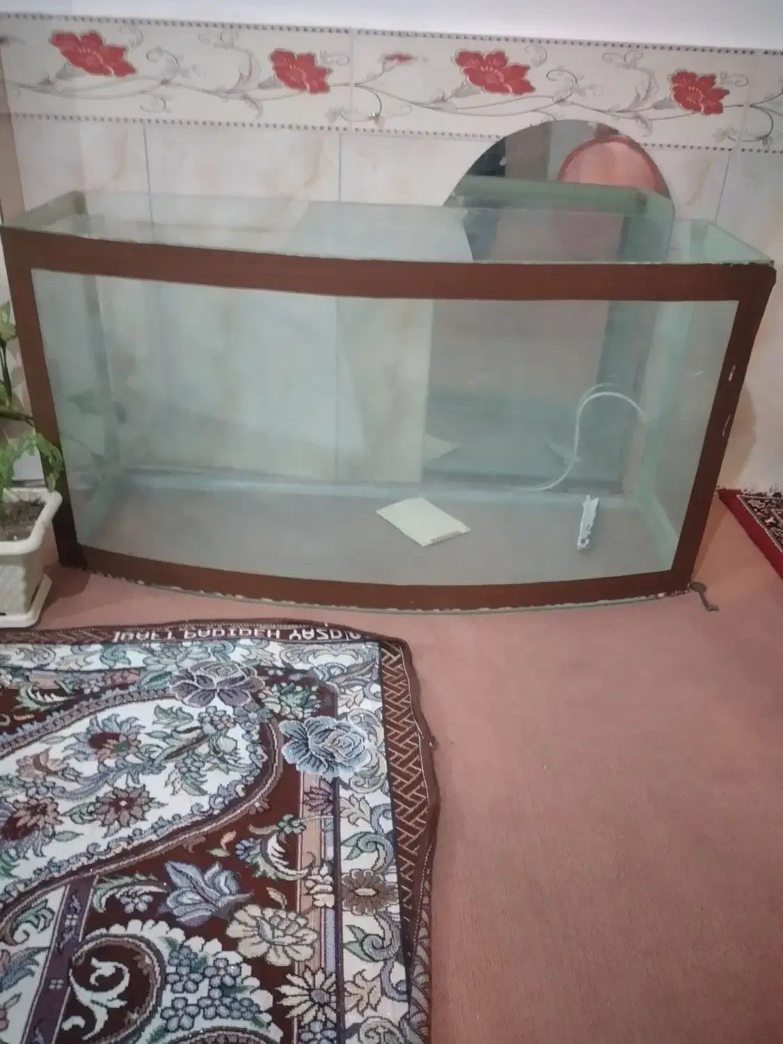 آکواریوم بزرگ شیشه ۶میل بادوام|ماهی|مراغه, |دیوار