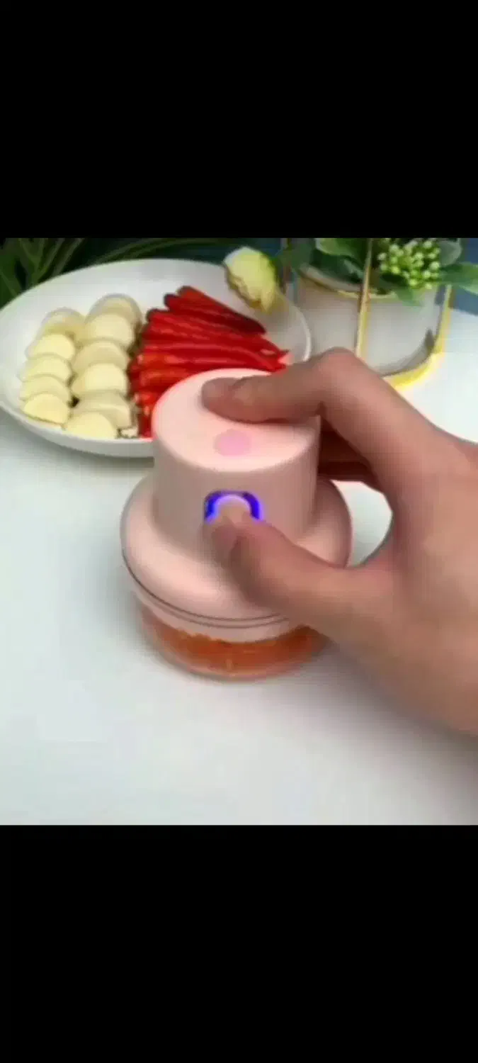 مینی خردکن|خردکن، آسیاب، غذاساز|اصفهان, شاه پسند|دیوار