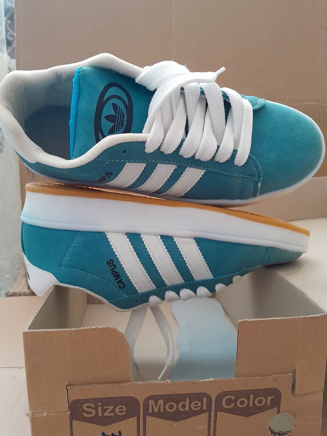 کفش کامپوس مردانه|کیف، کفش، کمربند|مراغه, |دیوار