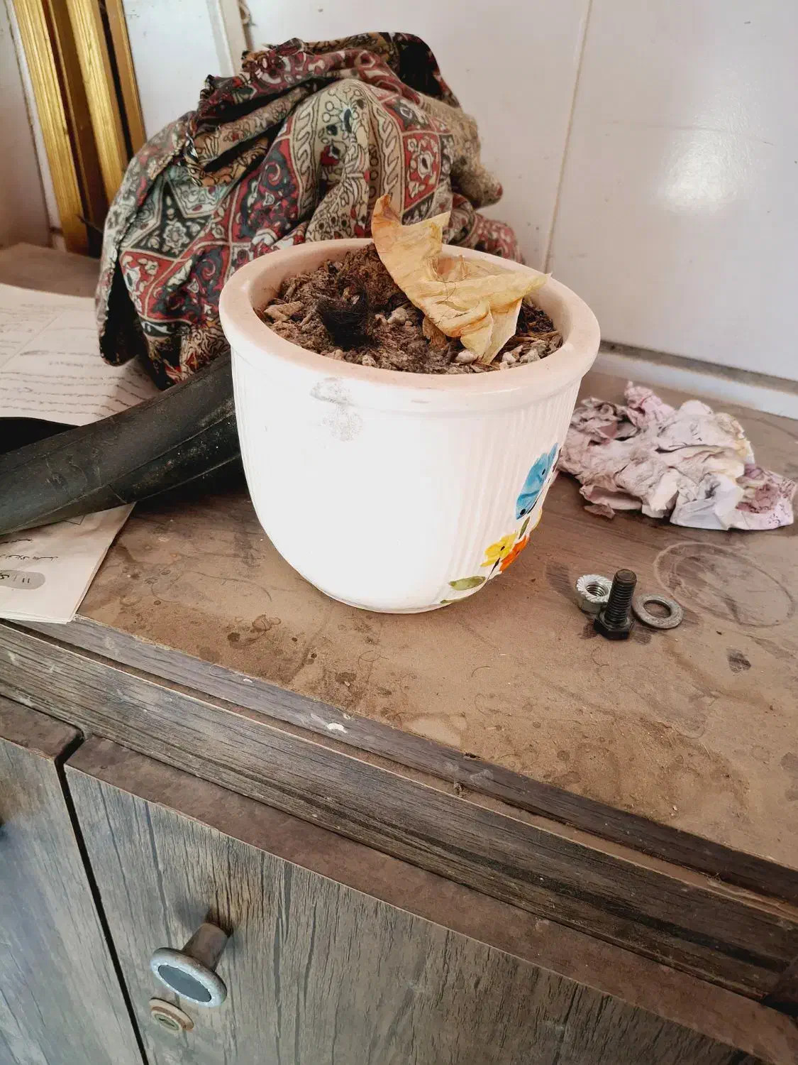 گلدون|گل و گیاه طبیعی|برازجان, |دیوار