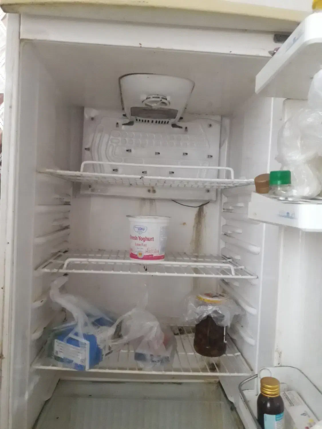 کنگان|یخچال و فریزر|بندر کنگان, |دیوار