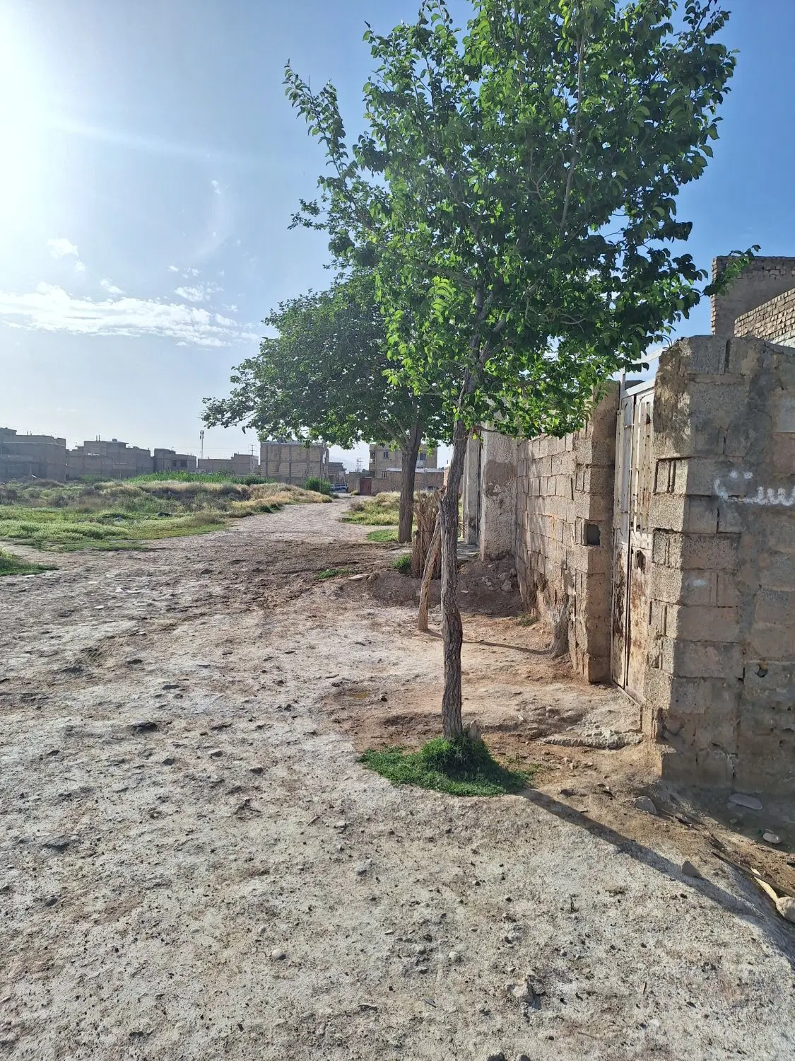 تصویر 3