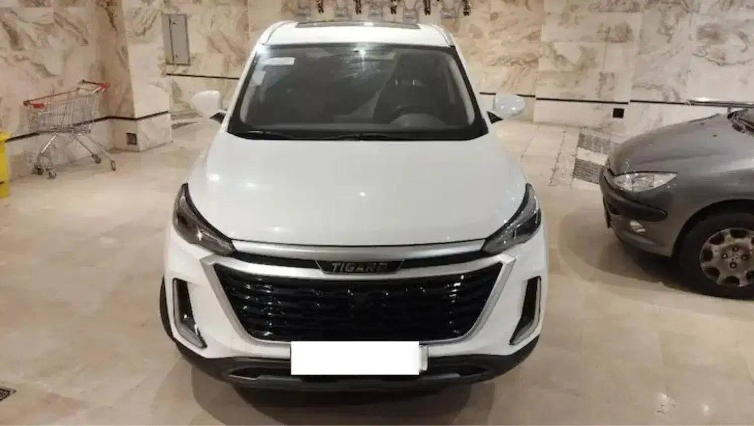 تیگارد x35|خودرو سواری و وانت|تهران, آرژانتین|دیوار