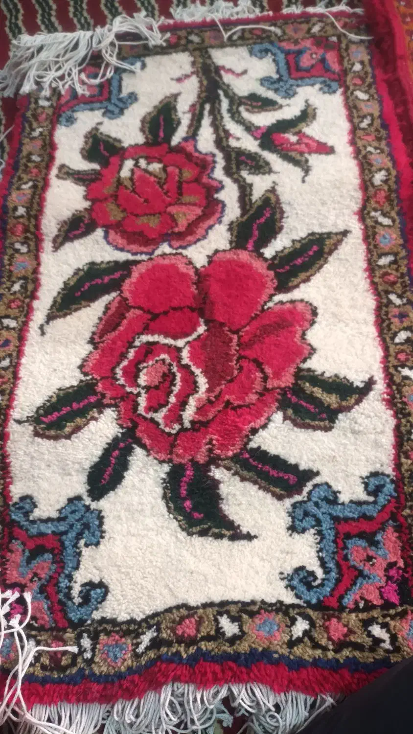 دوعدد پادری خوشرنگ|پادری|تبریز, |دیوار