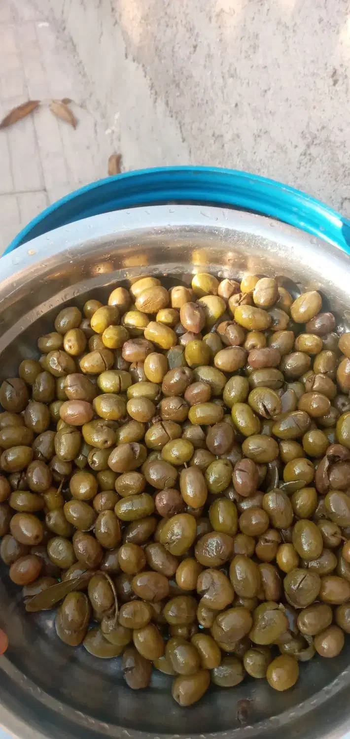 زیتون طارم|عمده‌فروشی|اقبالیه, |دیوار