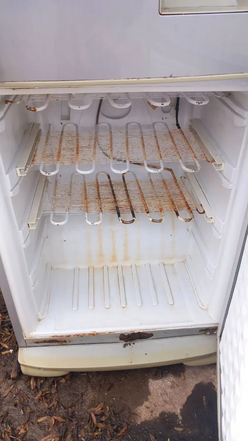 یخچال|یخچال و فریزر|بندر ترکمن, |دیوار