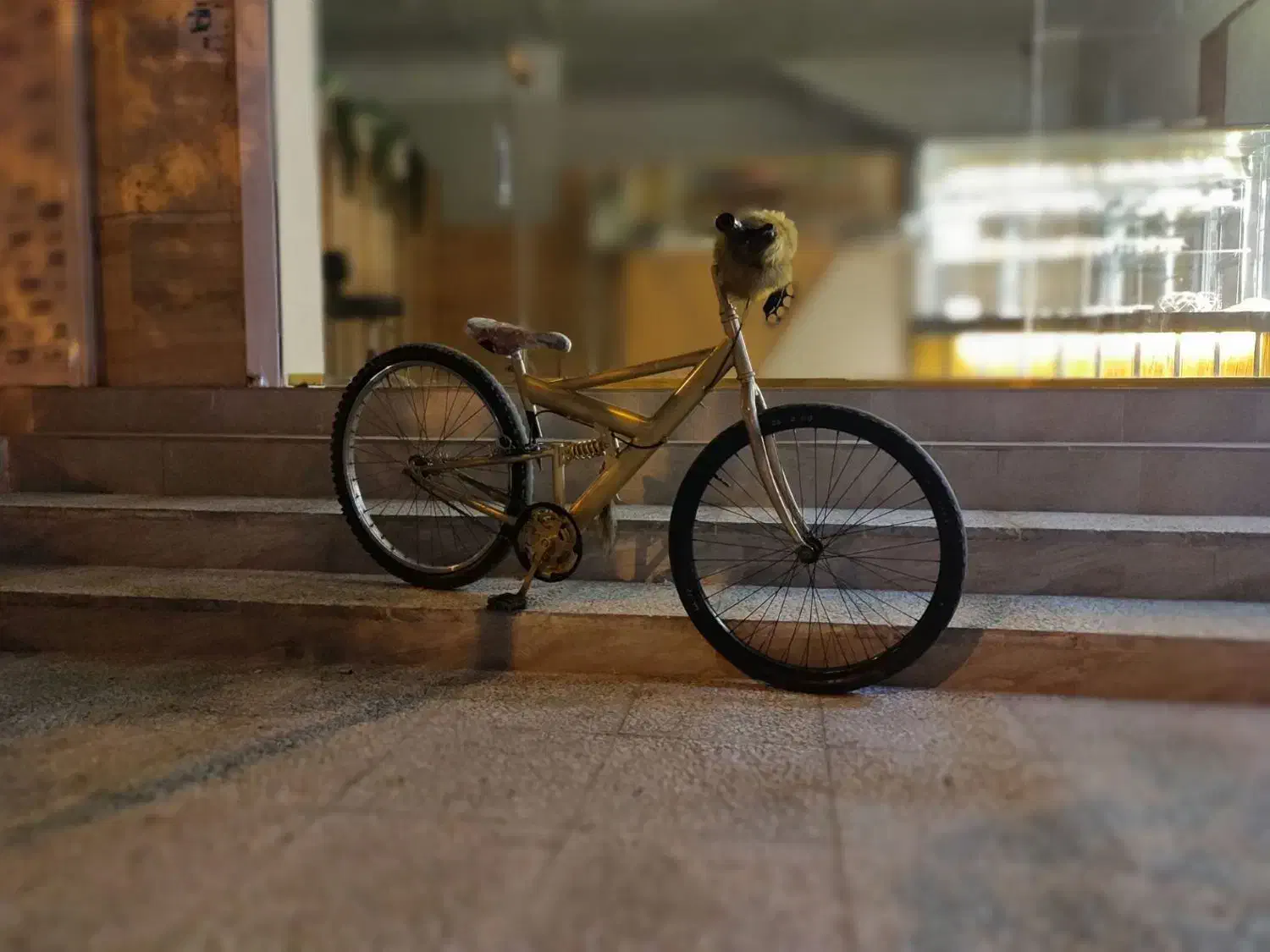 ۲۶ دوچرخه|دوچرخه، اسکیت، اسکوتر|بانه, |دیوار