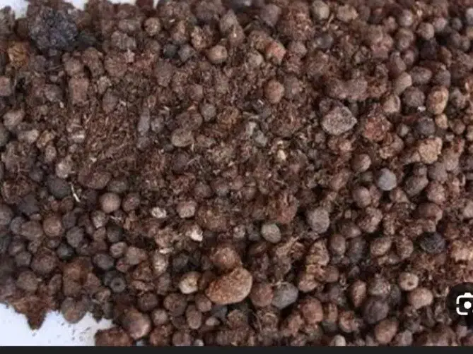 ۴۰تا کامیون کود گوسفندی خالص|خدمات باغبانی و درختکاری|سده (فارس), |دیوار