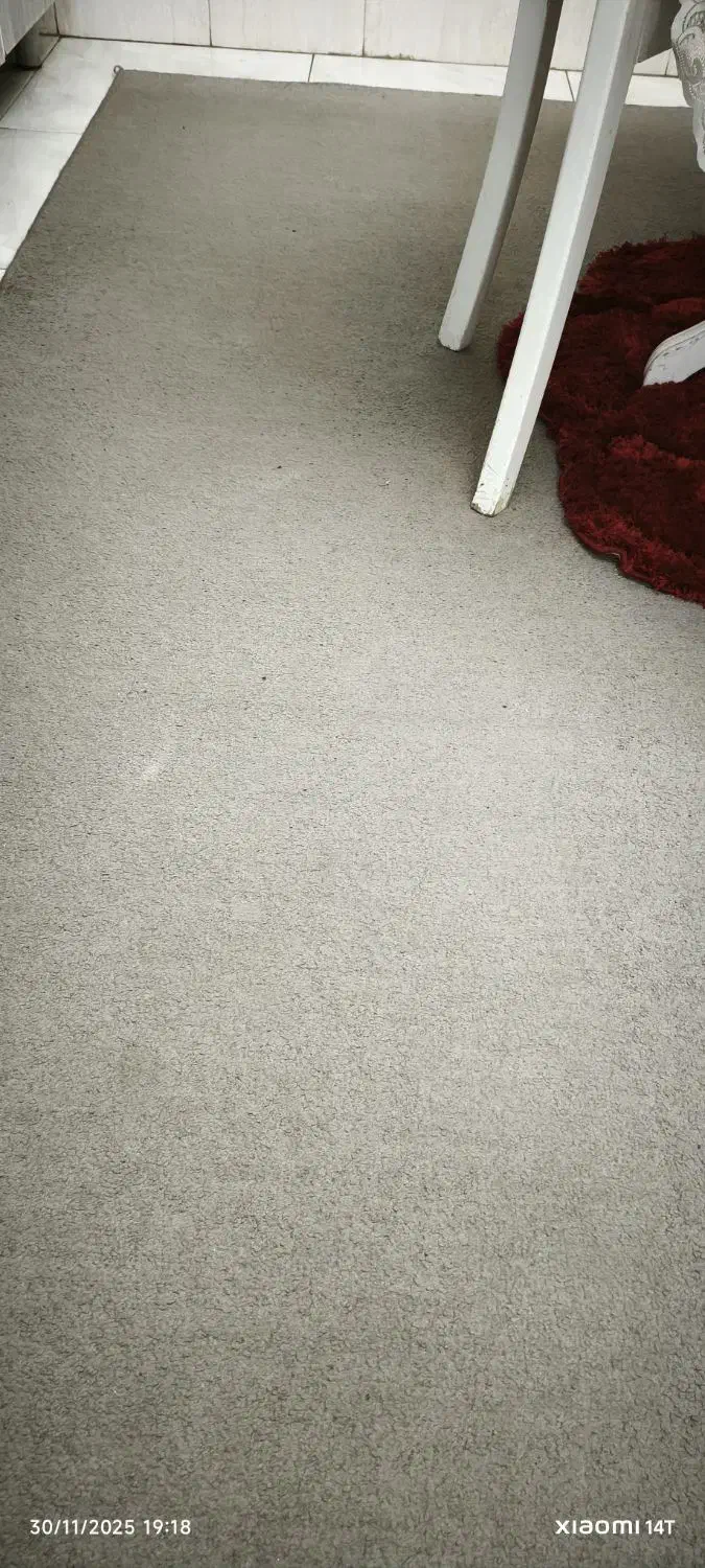 موکت پرز بلند پالاز|موکت|کرج, حیدرآباد|دیوار