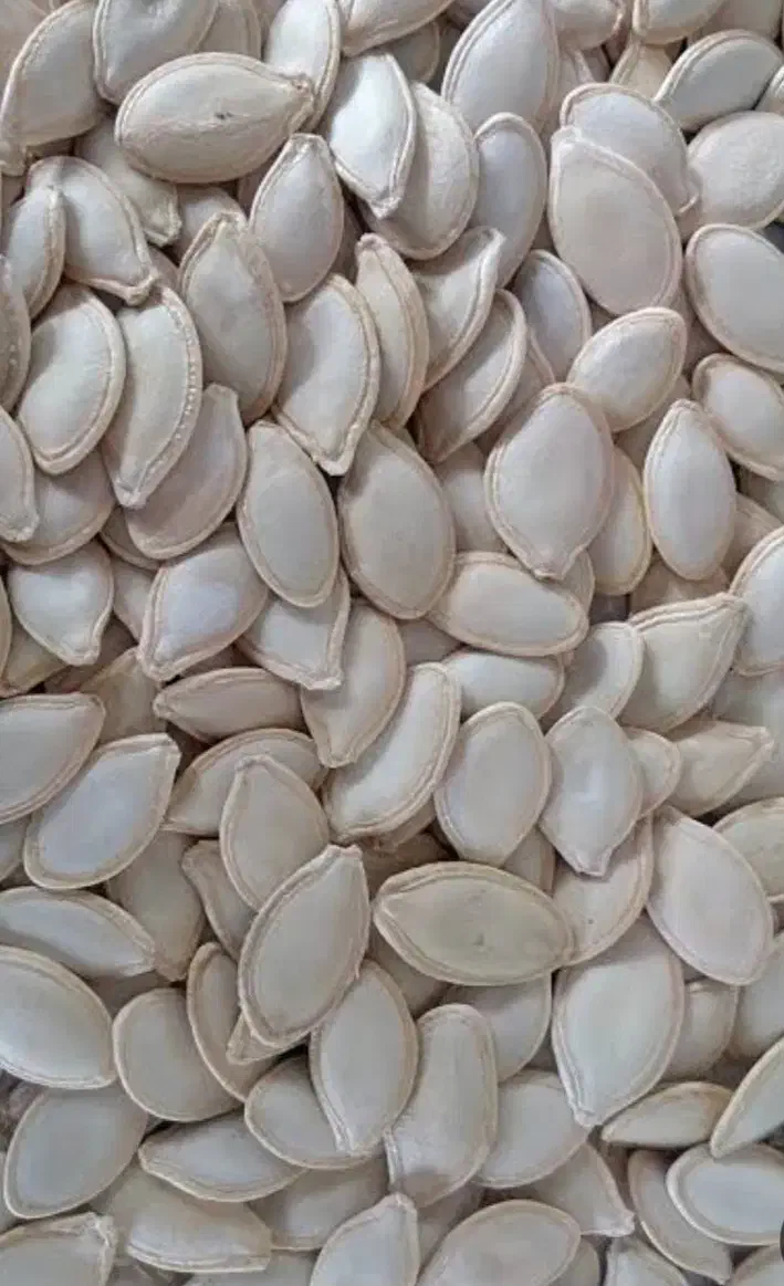 فروش تخم کدو|خوردنی و آشامیدنی|سراب, |دیوار