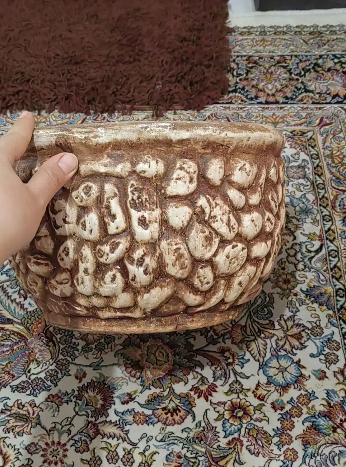 گلدان|گل و گیاه طبیعی|تهران, جی|دیوار