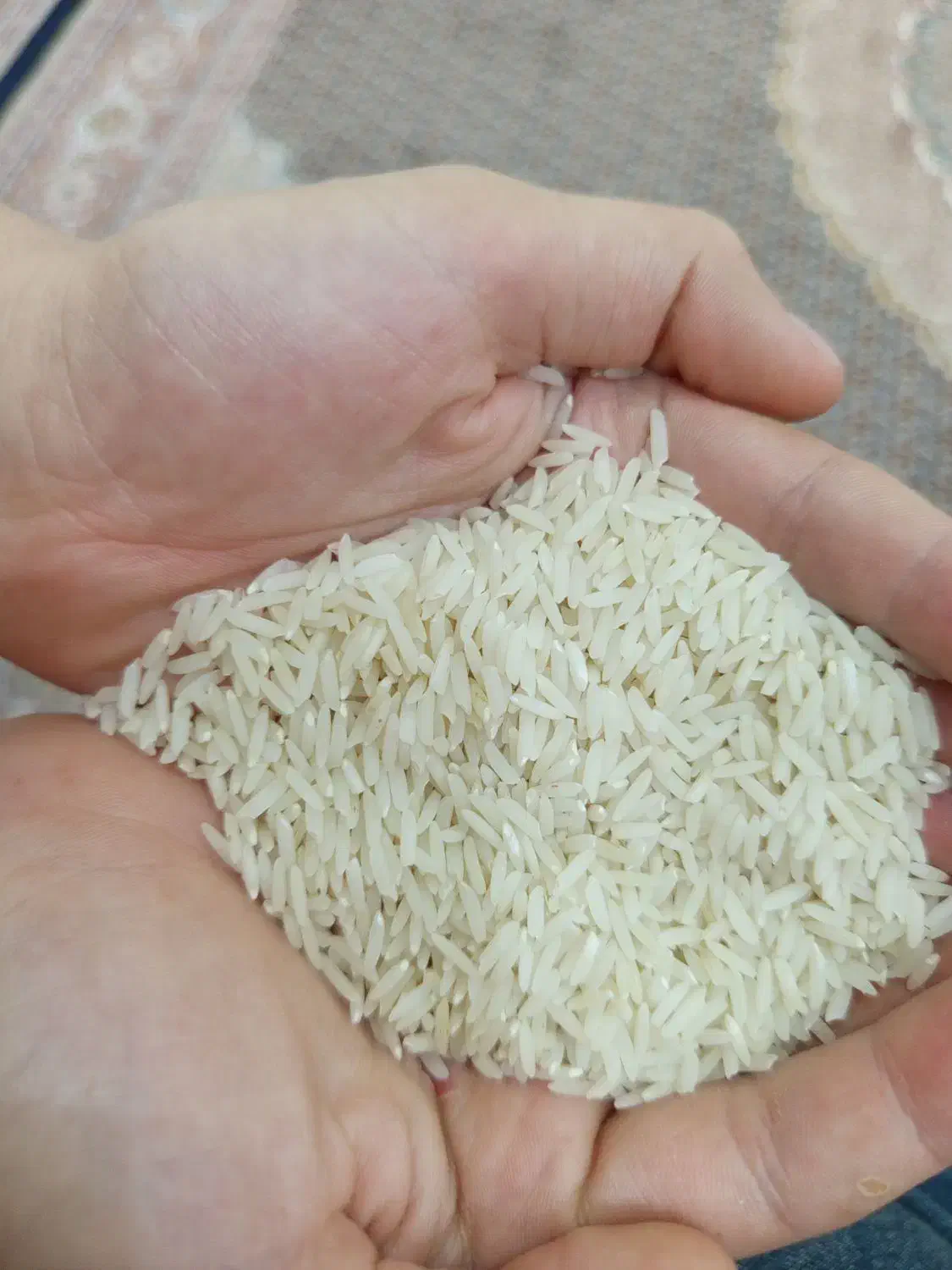 برنج هاشمی|خوردنی و آشامیدنی|پارس‌آباد, |دیوار