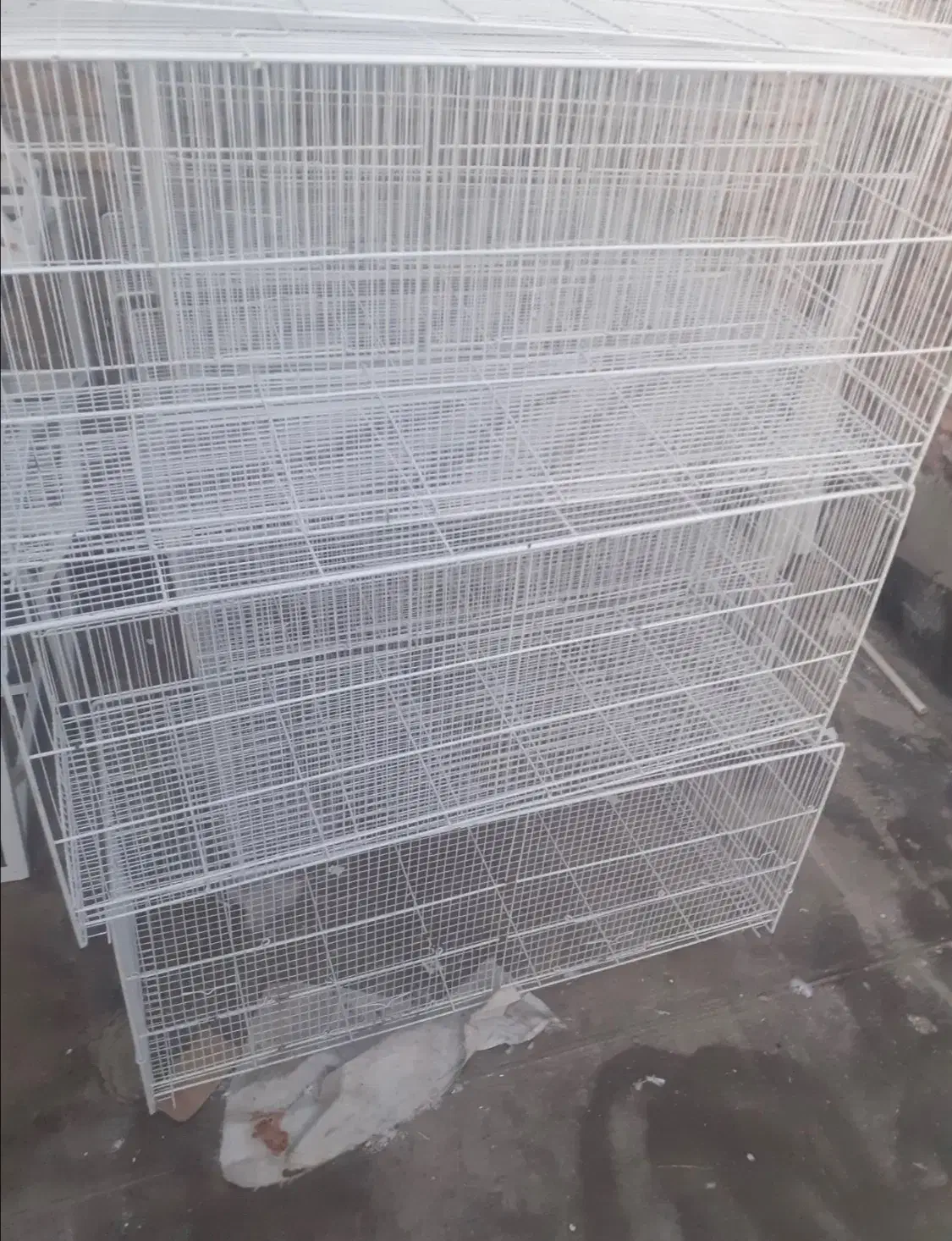 قفس پرنده|لوازم جانبی حیوانات|نیشابور, شهرک فیروزه|دیوار