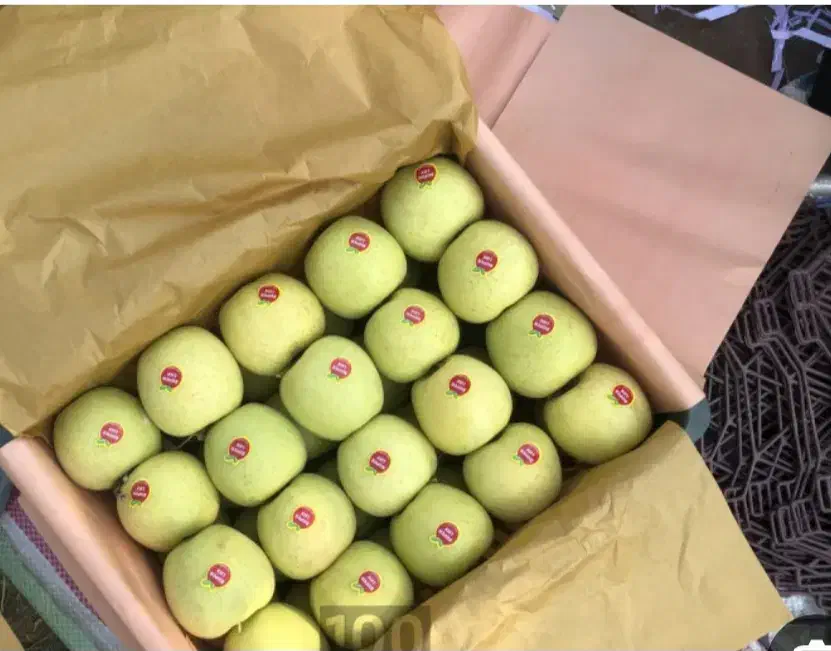 ۲ تن سیب زرد درختی درجه یک سرد خونه ای|خوردنی و آشامیدنی|رزن, |دیوار