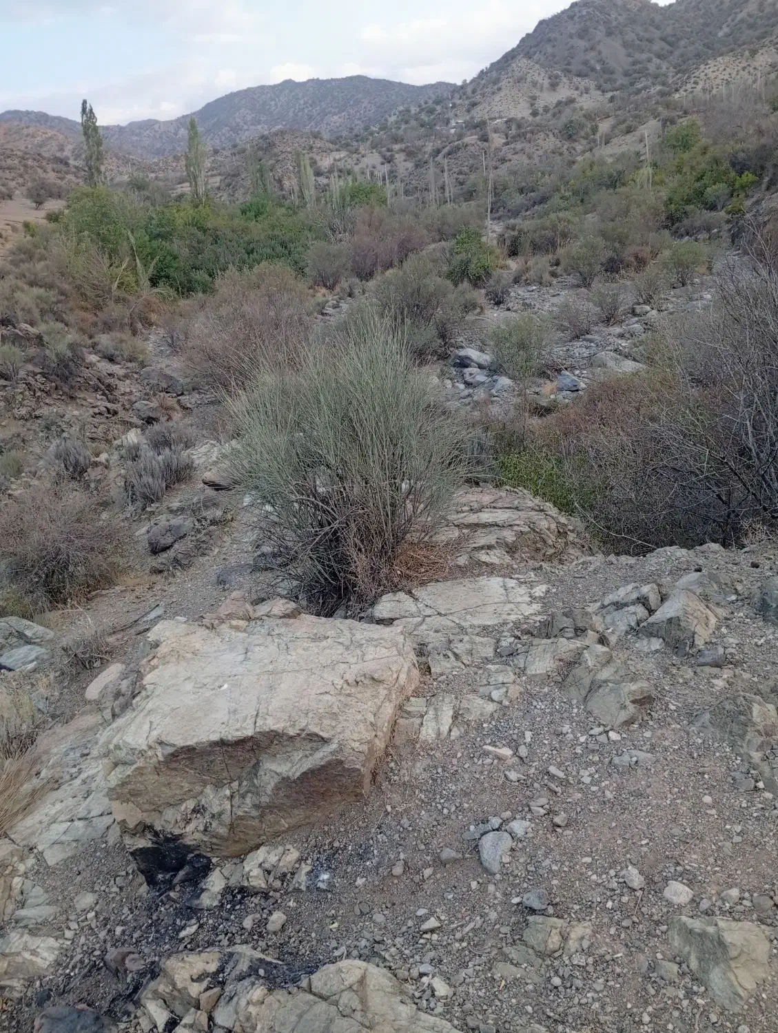 چاه کنی|خدمات پیشه و مهارت|بم, |دیوار