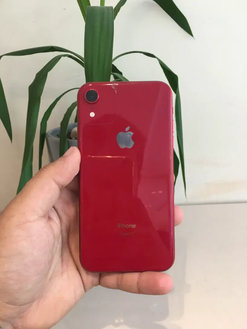 Iphone XR ZAA|موبایل|تبریز, |دیوار