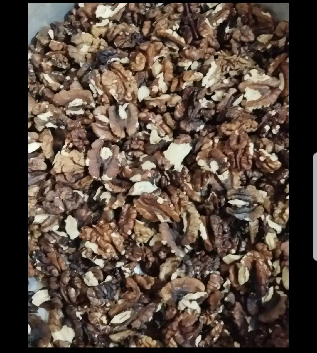 گردو فسنجونی|فعالیت داوطلبانه تحقیقاتی|پرند, فاز ۶|دیوار