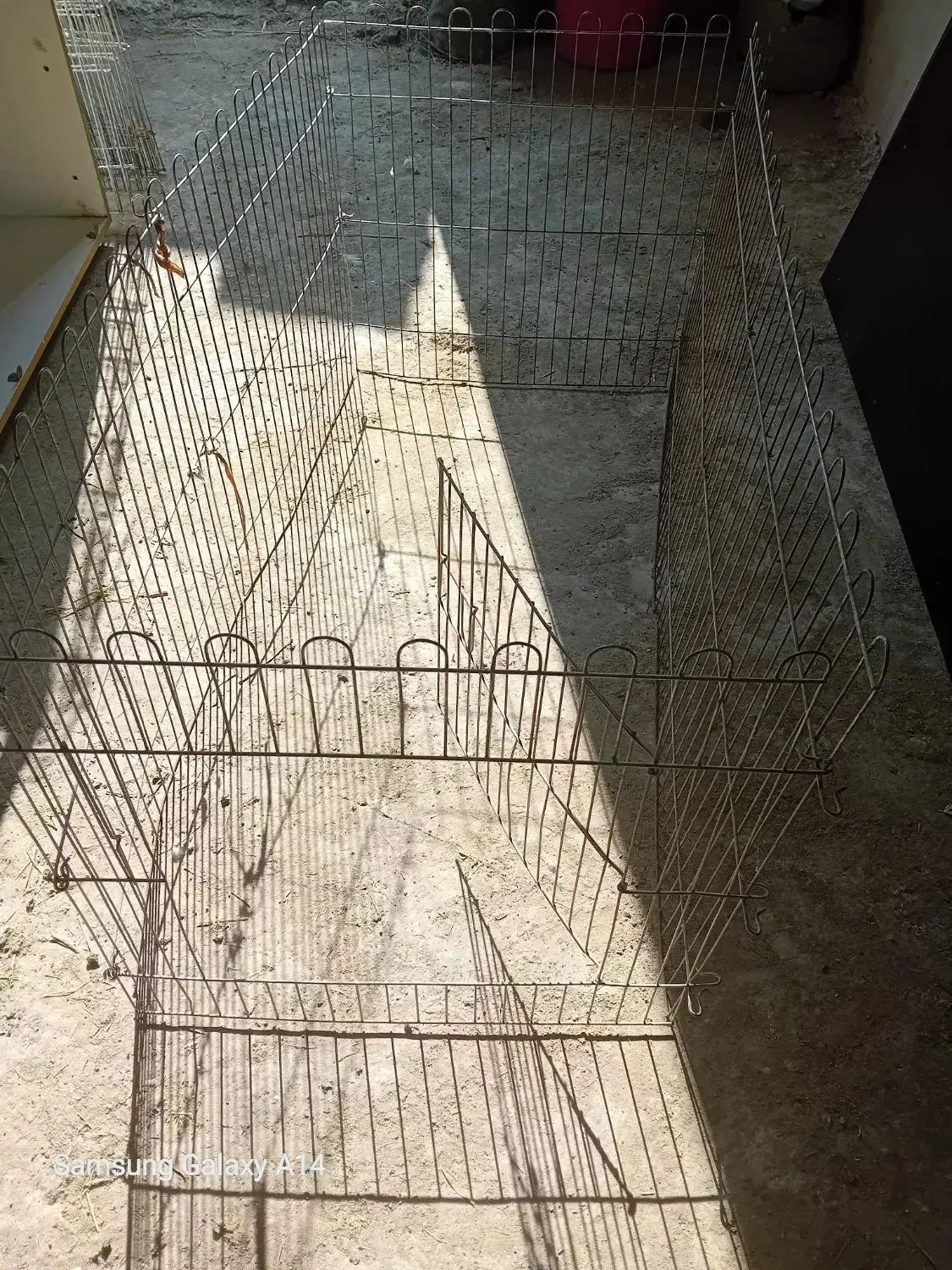 پارک سگ|لوازم جانبی حیوانات|صومعهسرا, |دیوار