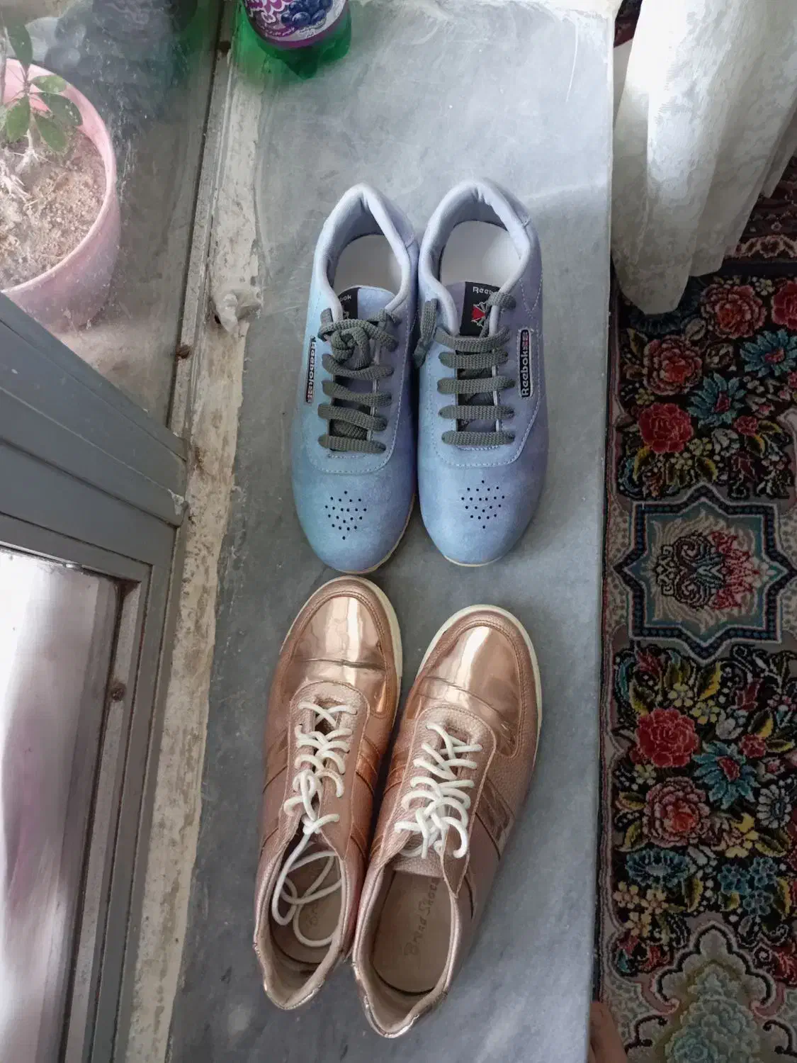 سالم ونو|کیف، کفش، کمربند|اردبیل, |دیوار