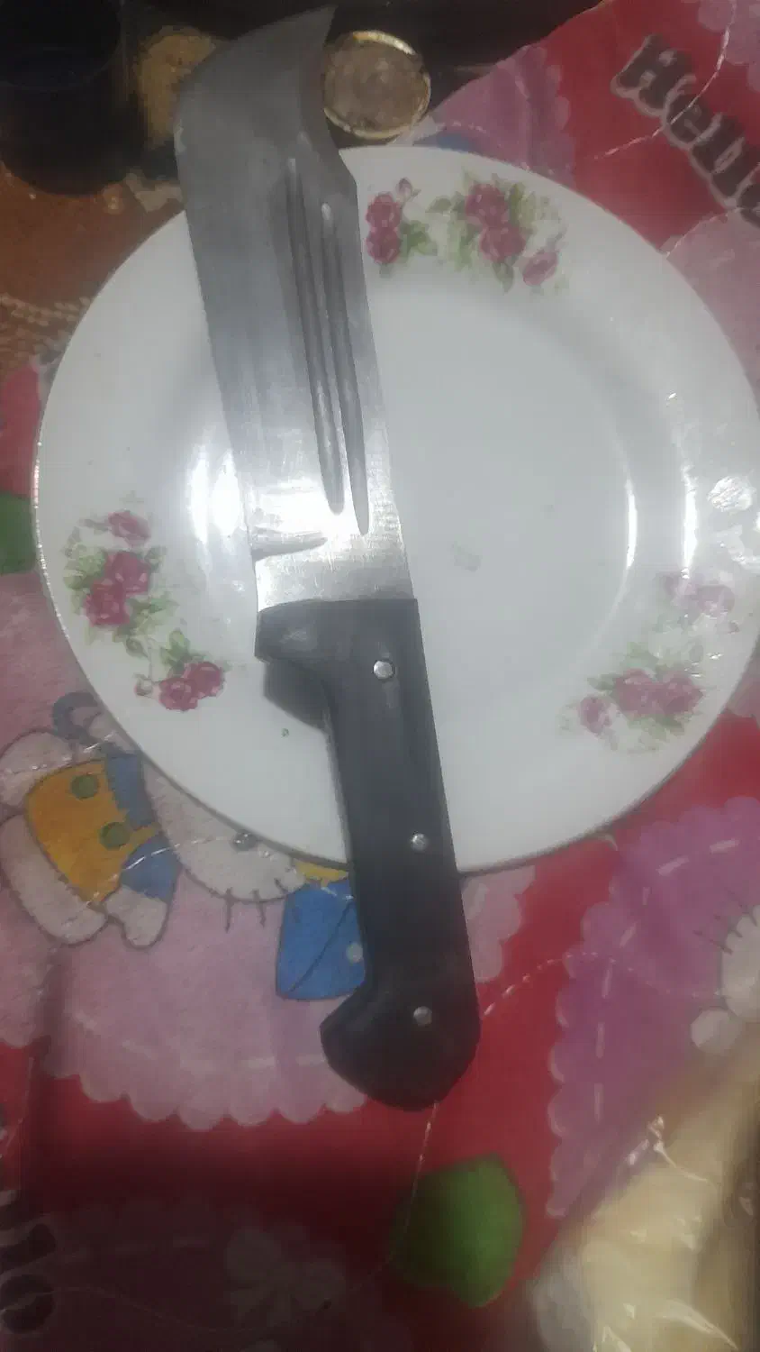 چاقو دست ساز قیمتی|کلکسیون اشیاء عتیقه|اسدآباد, |دیوار