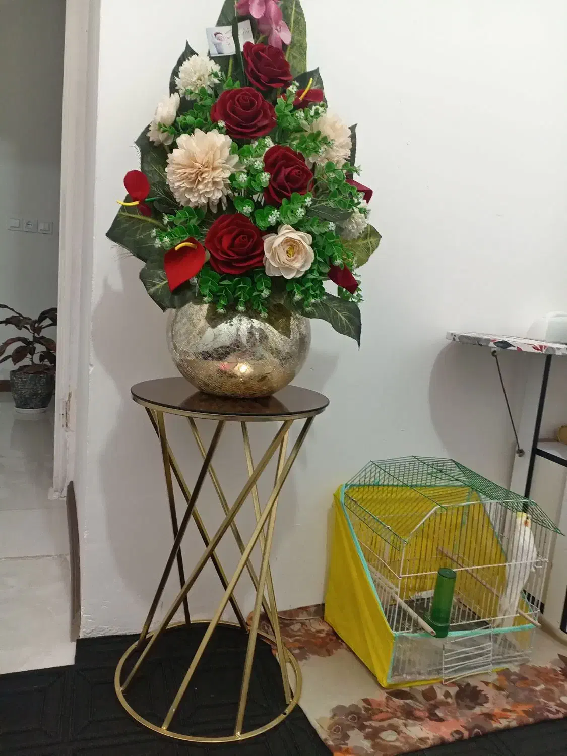 میز|میز تلفن|تربت‌حیدریه, رضاشهر|دیوار