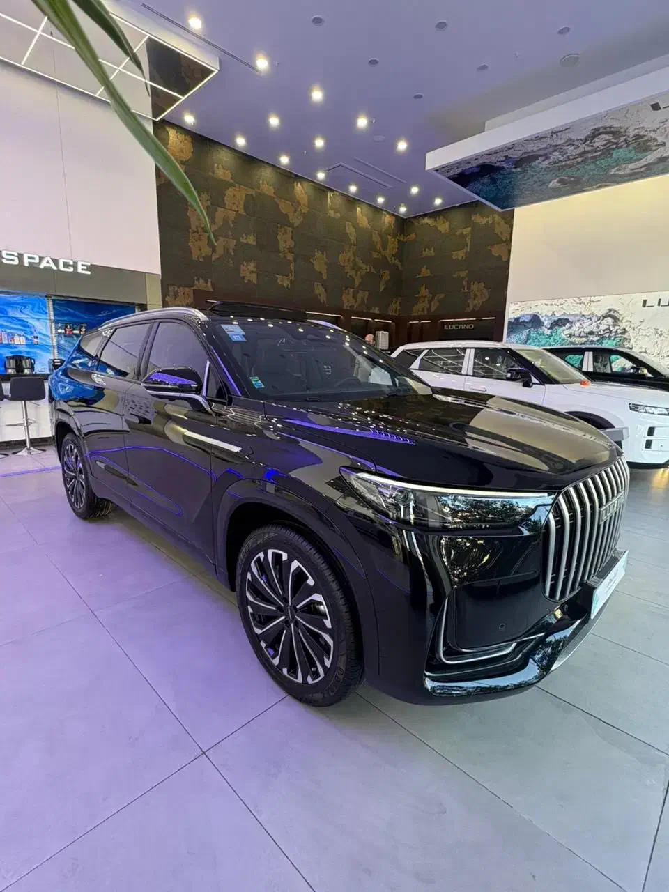 لوکانو  L8|خودرو سواری و وانت|تهران, ظفر|دیوار