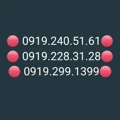 0919.228.31.28|سیم‌کارت|شیراز, وصال|دیوار