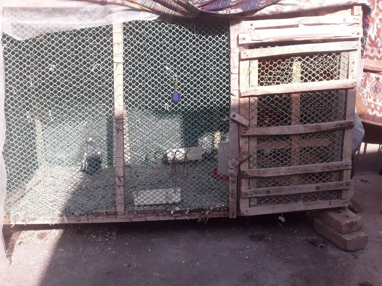 فروش|کیف، کفش، کمربند|خوی, |دیوار