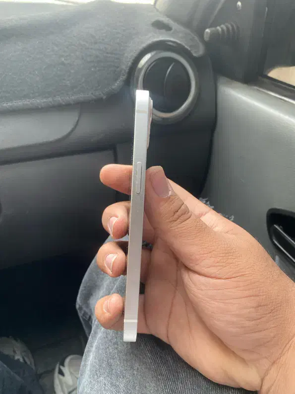 Iphone 13 ch|موبایل|شیراز, فرگاز|دیوار