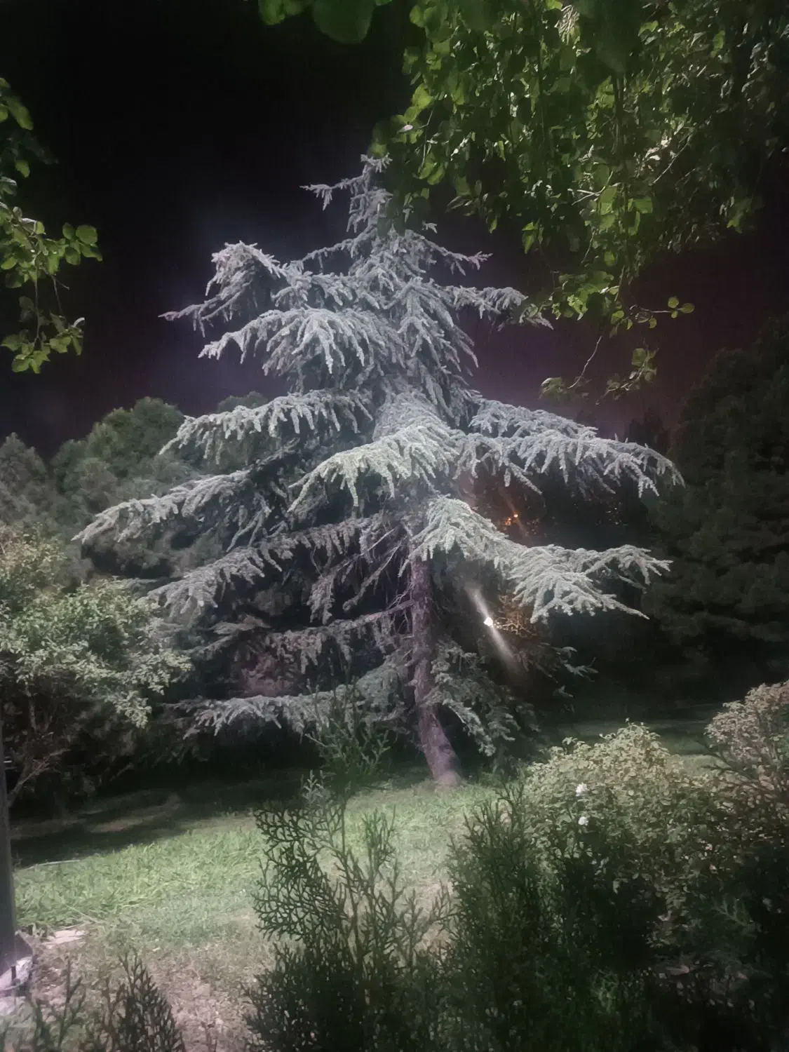 85 متر همکف جهت کارگاه کم صدا|اجارهٔ مغازه و غرفه|تهران, جوادیه تهرانپارس|دیوار