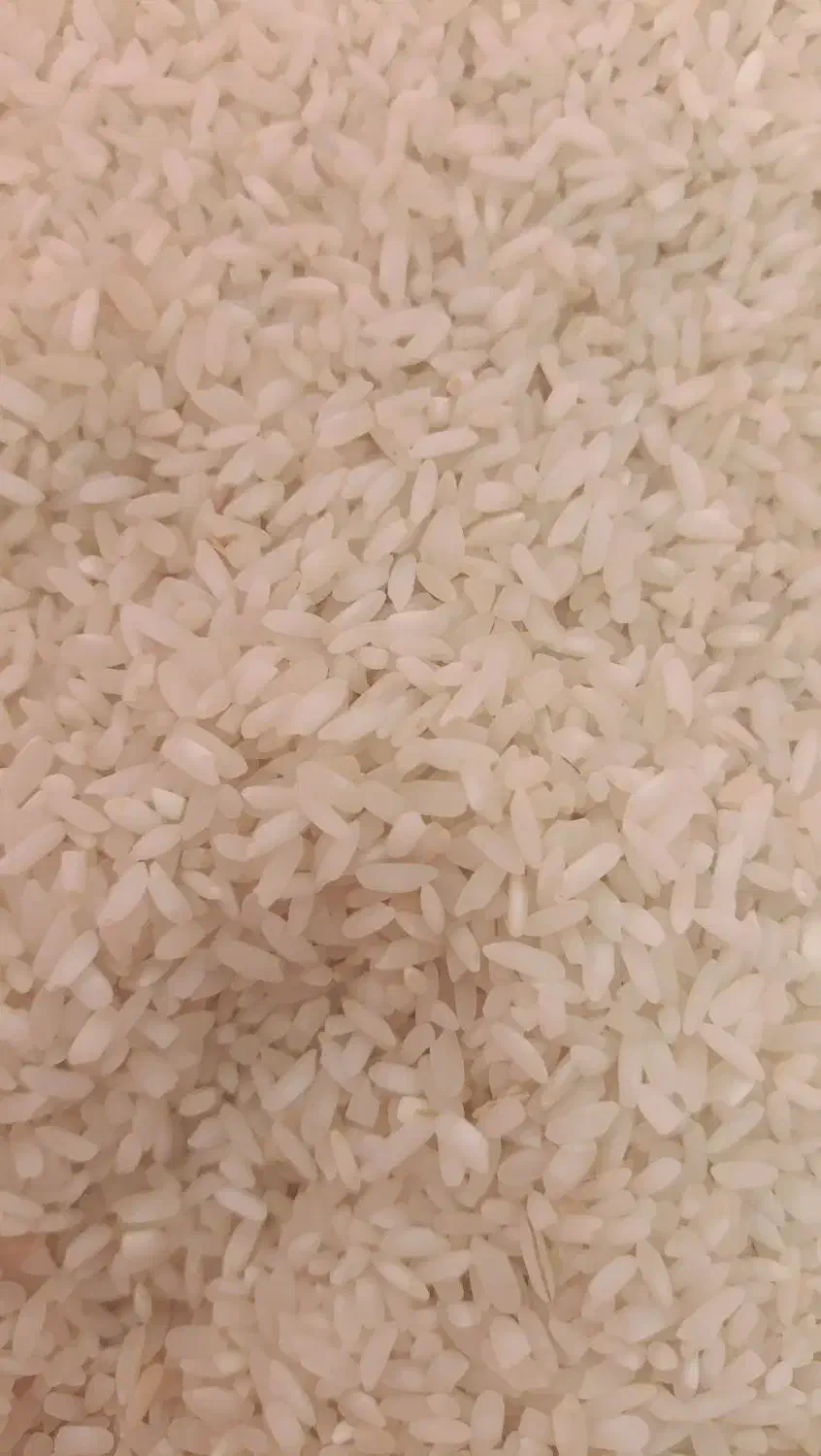 برنج|خوردنی و آشامیدنی|اصفهان, بهارستان|دیوار