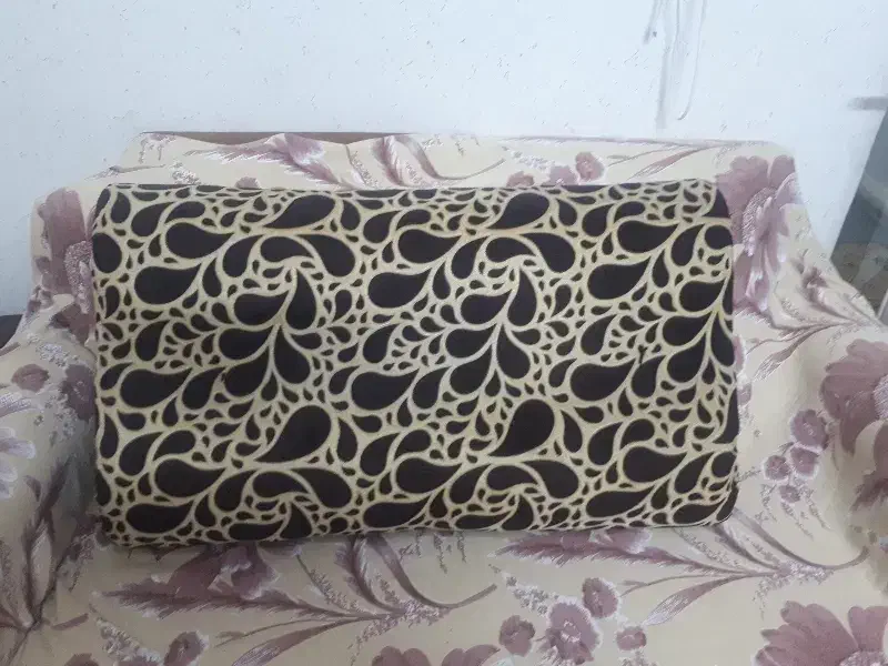 پشتی مخته|پشتی|اصفهان, شیخ طوسی|دیوار