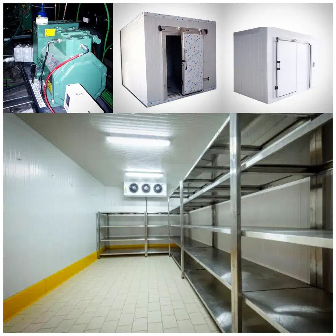 825سا.خت انوا.ع 825سردخانه825|ماشینآلات صنعتی|بندرعباس, |دیوار