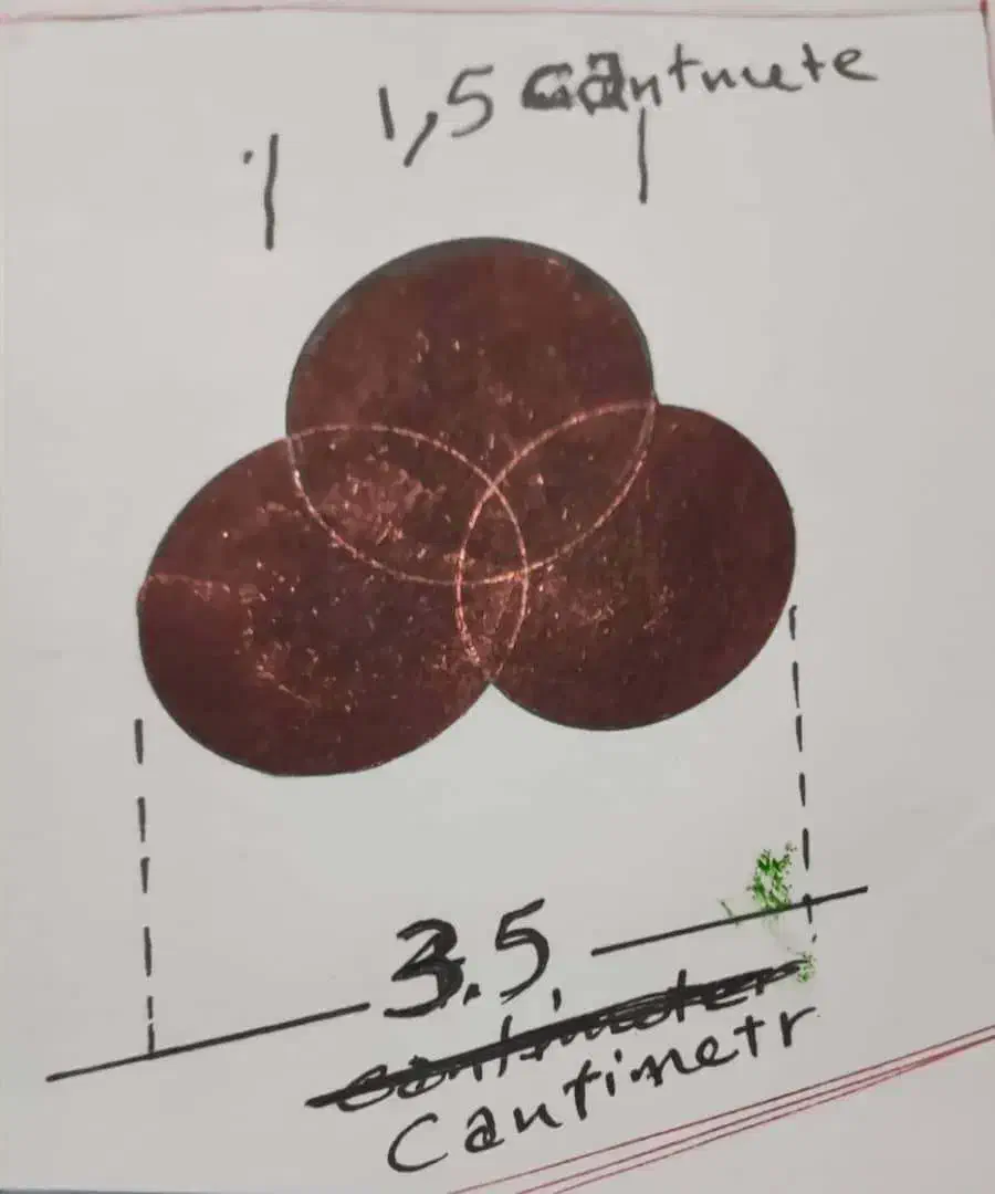 نظافت و خدماتی خانم|استخدام سرایداری و نظافت|بندر انزلی, سوسر|دیوار