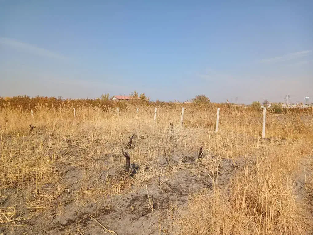 فروش زمین کشاورزی|فروش دفتر صنعتی، کشاورزی، تجاری|ارومیه, |دیوار