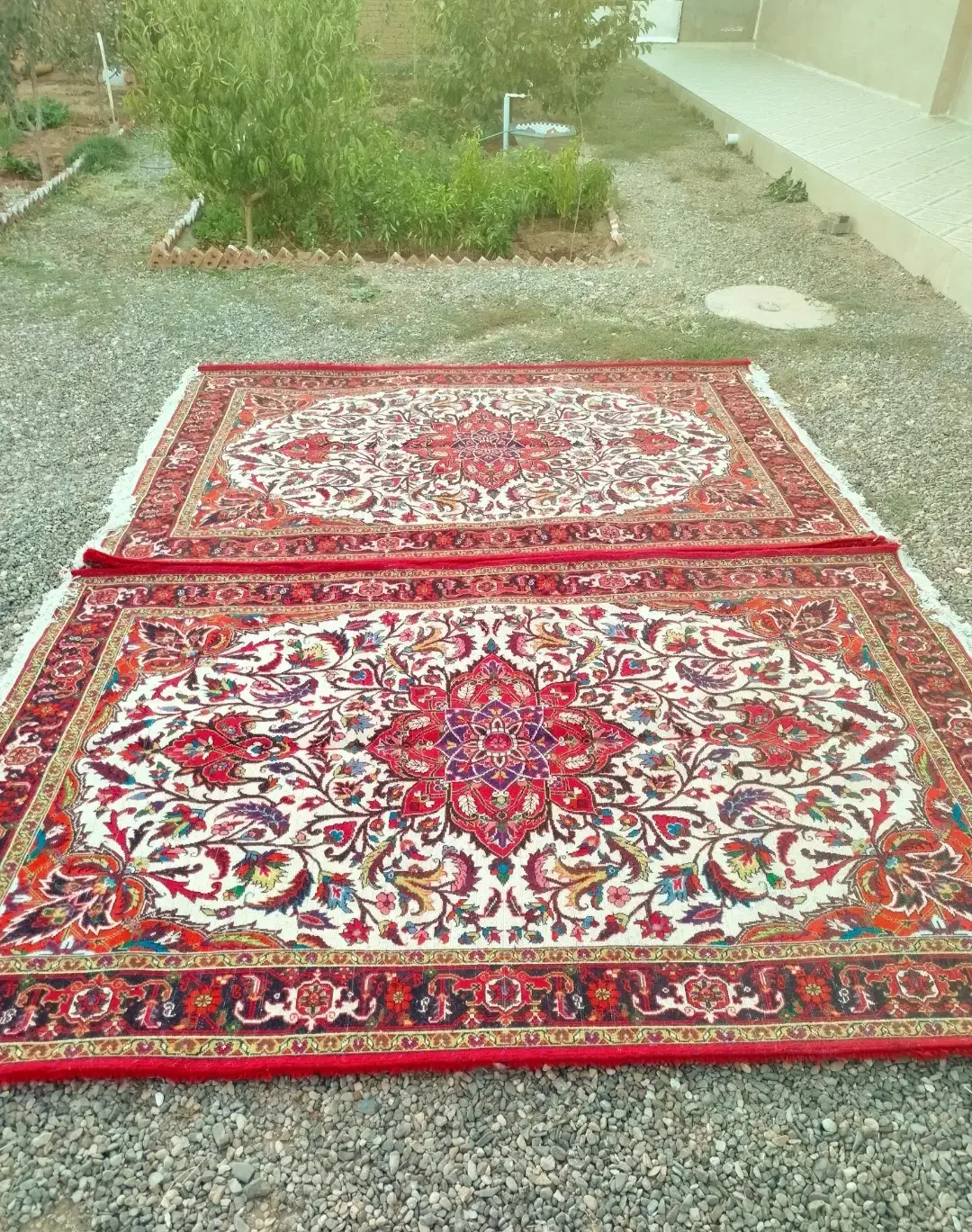 یه جفت فرش دستباف ۶متری زمینه کرم تاجری|فرش|تبریز, |دیوار