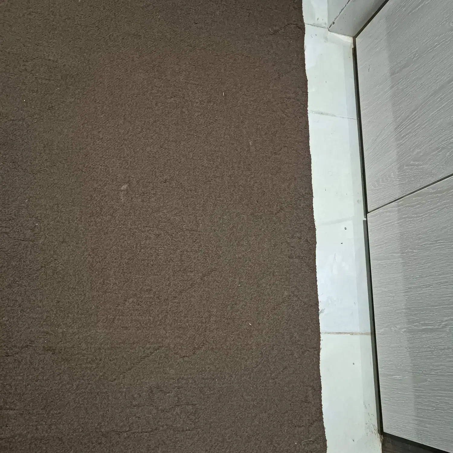 موکت ساده ماشینی|موکت|بندر کنگان, |دیوار