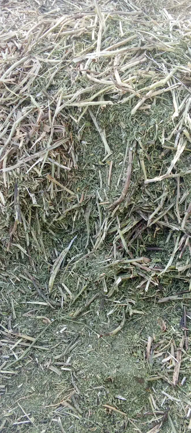 کاه باقله تمیز|حیوانات مزرعه|گچی, |دیوار