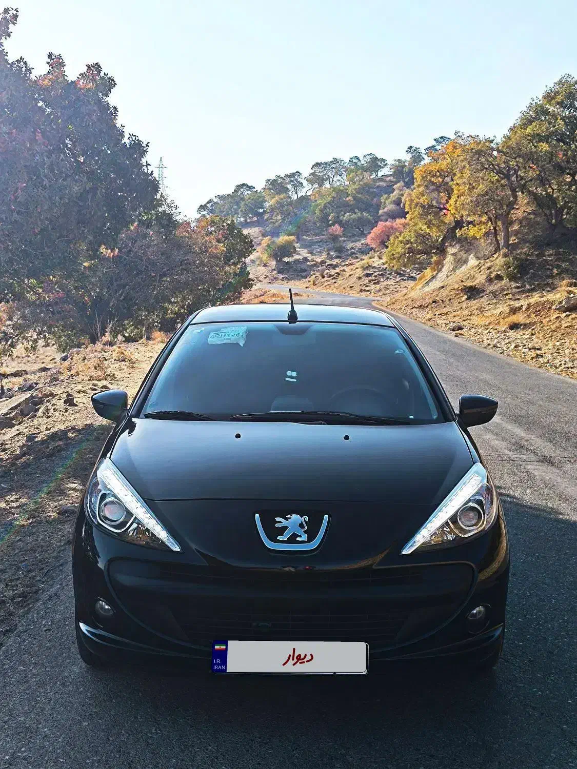 فروشی 207سقف فلز مدل1404|خودرو سواری و وانت|یاسوج, |دیوار