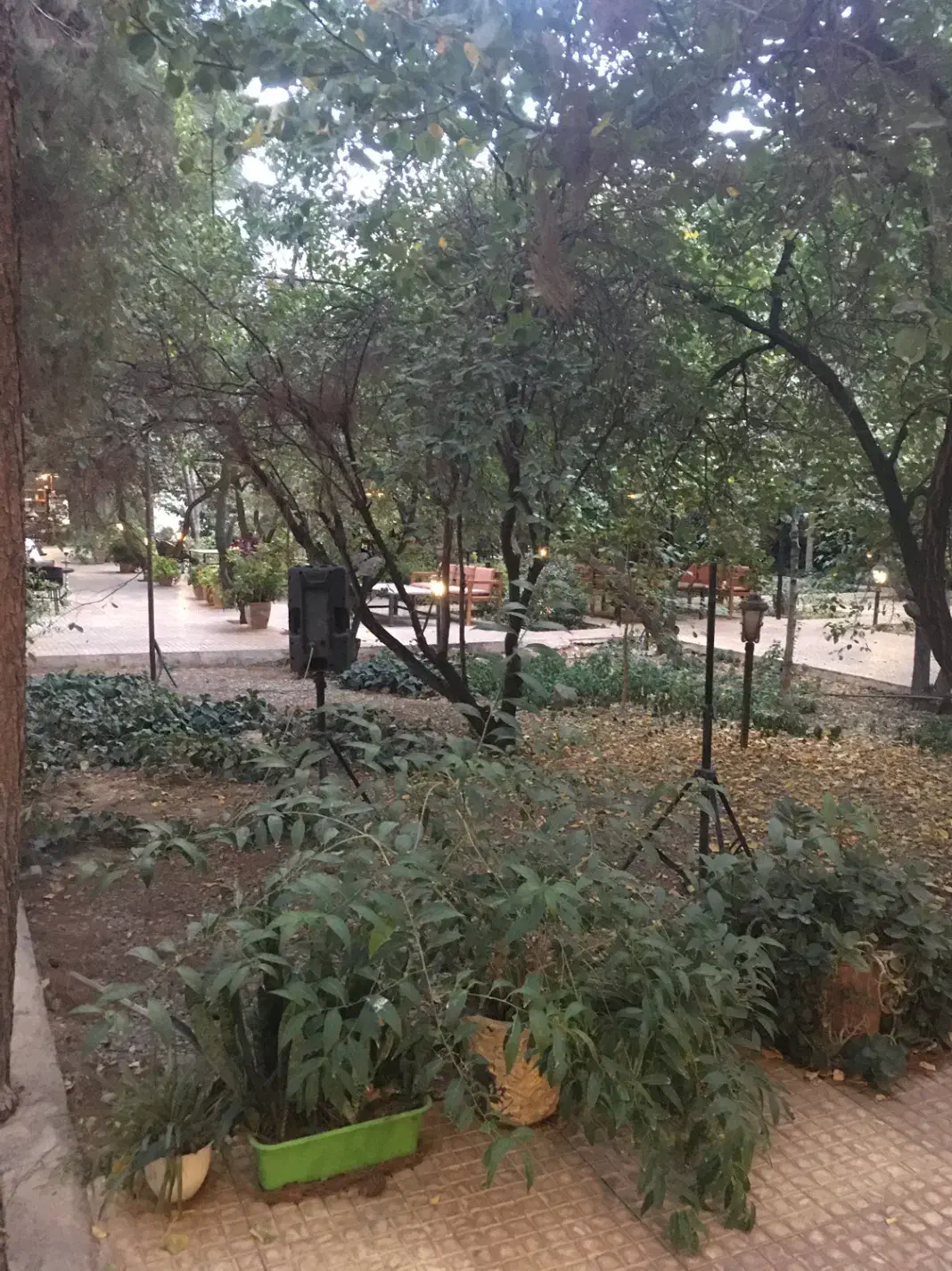 نیروی کار خانم و آقا جهت کار در رستوران|استخدام خدمات فروشگاه و رستوران|فردیس, شهرک ناز|دیوار