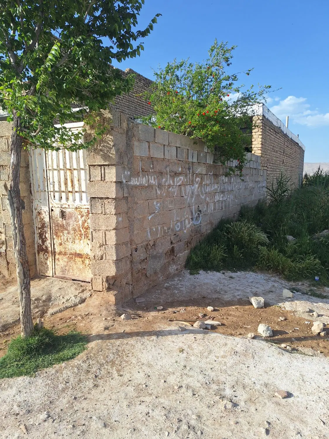 تصویر 2