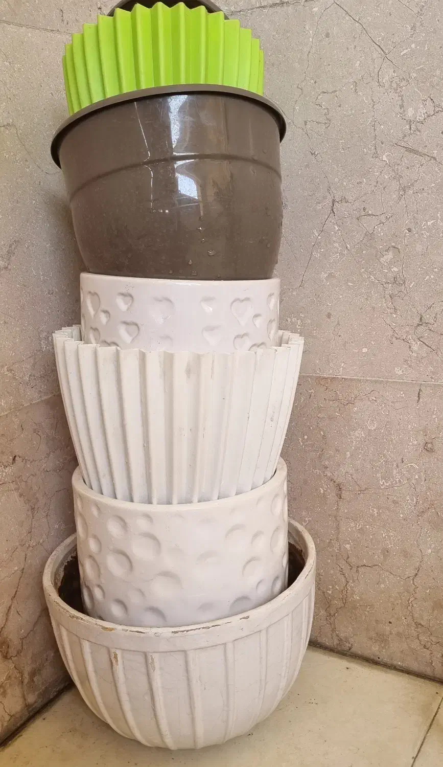 گلدان وگل|گل و گیاه طبیعی|اهواز, کوی باهنر|دیوار