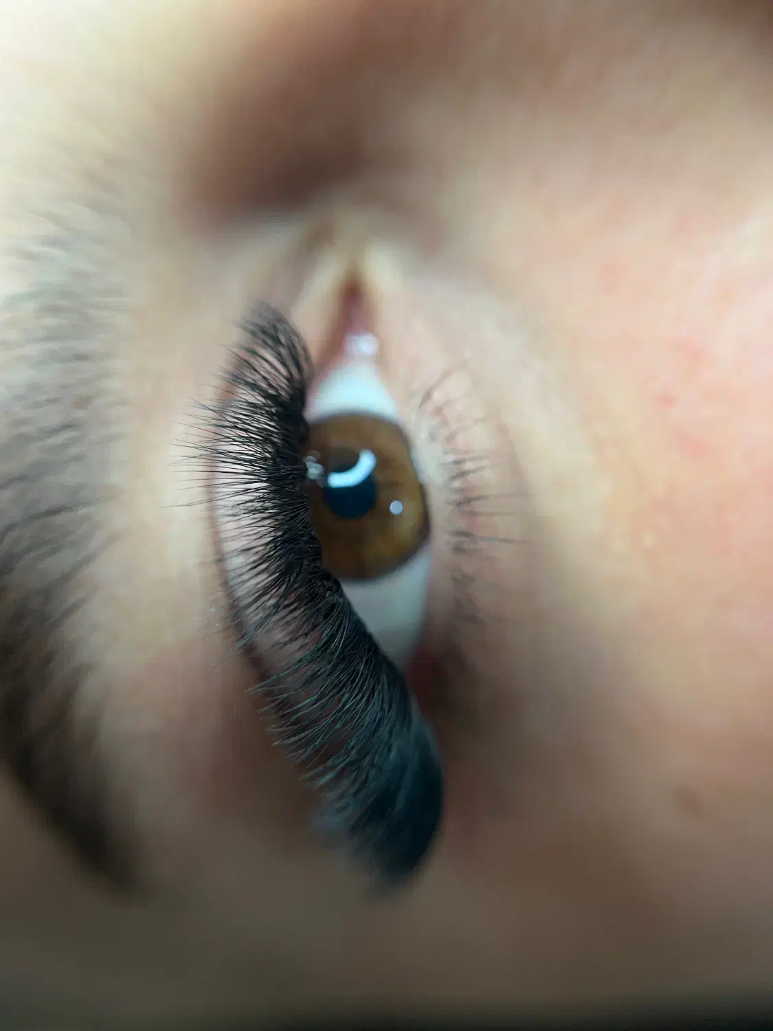 خدمات اکستنشن مژه و لیفت|خدمات آرایشگری و زیبایی|رشت, جانبازان|دیوار