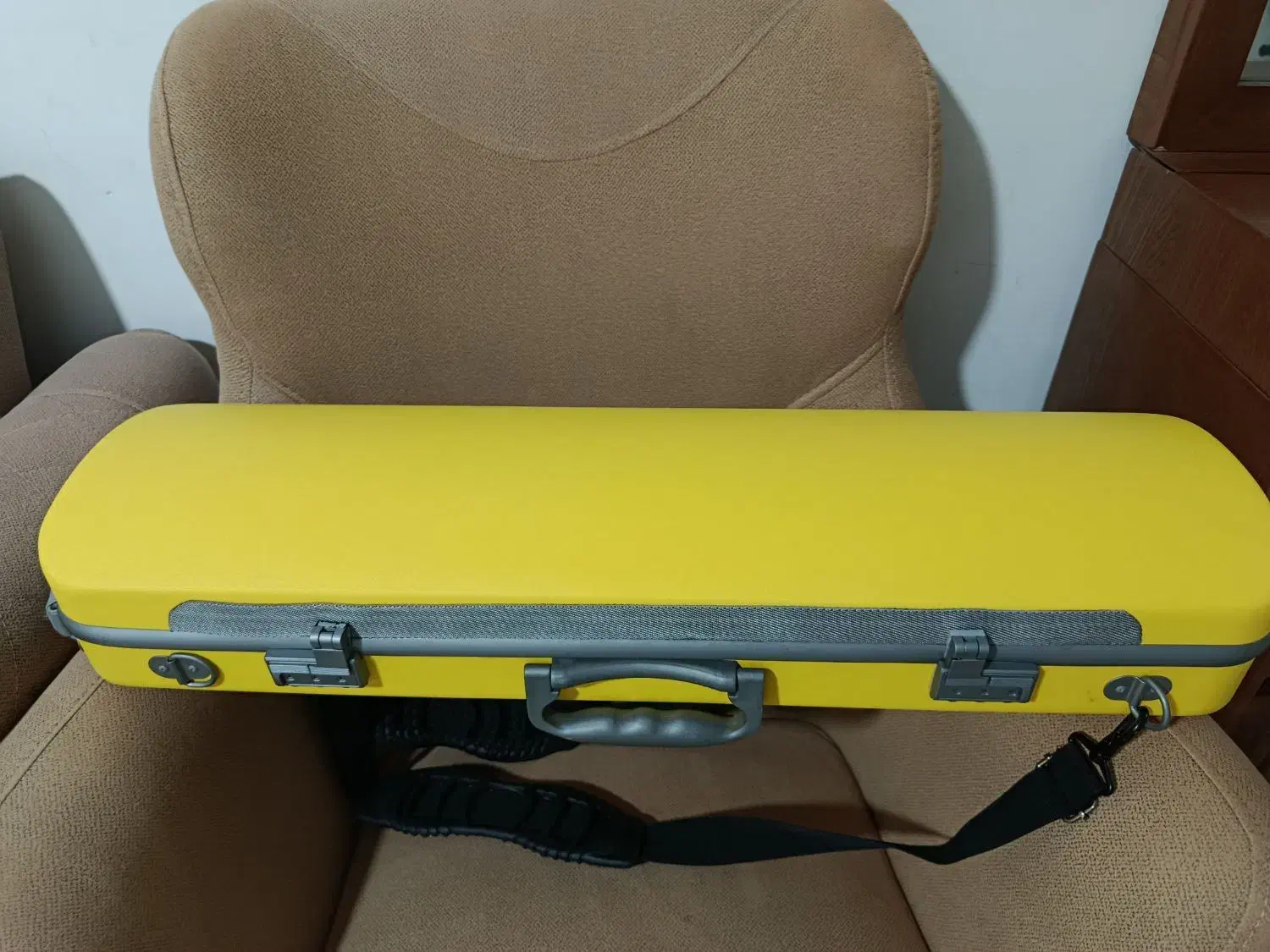 هارد کیس ویولن آلمانی|ویولن|سنندج, |دیوار