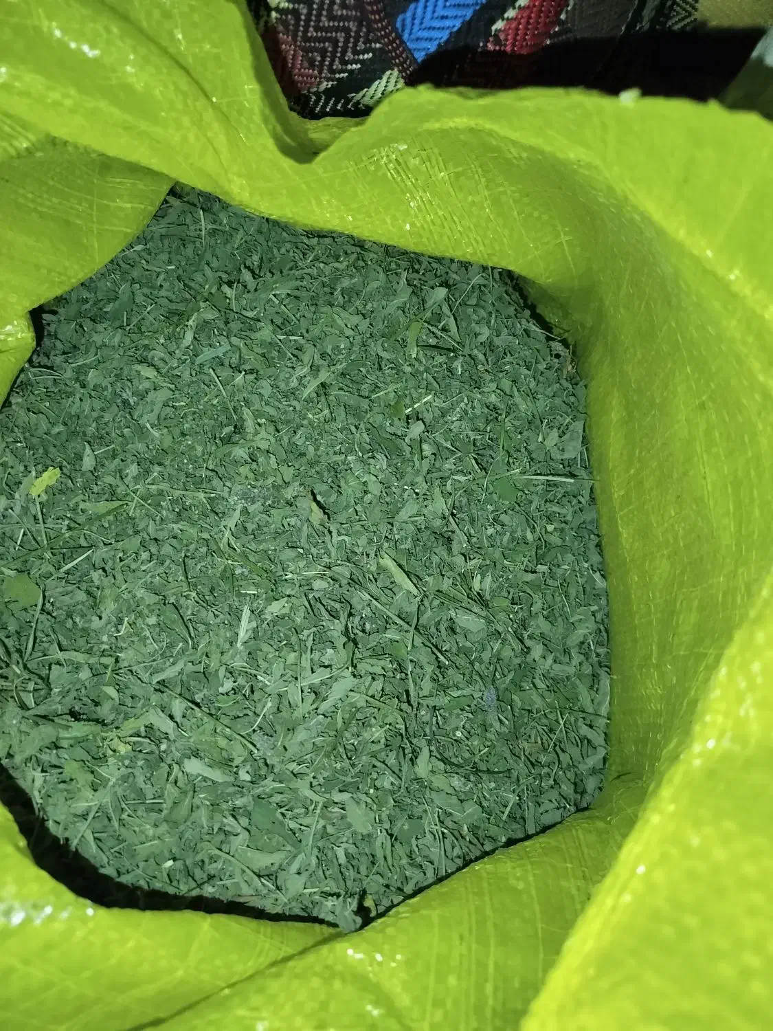 ۵۰ کیلو برگ پونه|آرایشی، بهداشتی، درمانی|آبدانان, |دیوار