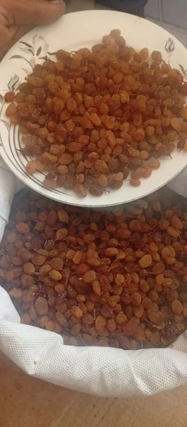 کشمش|عمدهفروشی|بجنورد, |دیوار