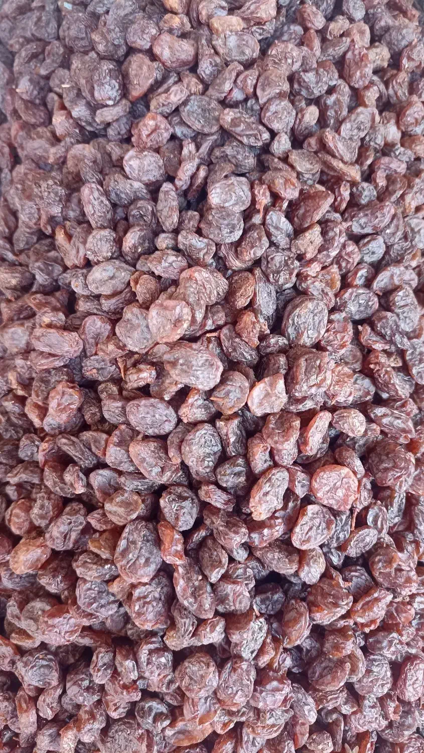 آفتابی قندبالا( تاکستان)|عمده‌فروشی|تهران, جمال‌زاده|دیوار