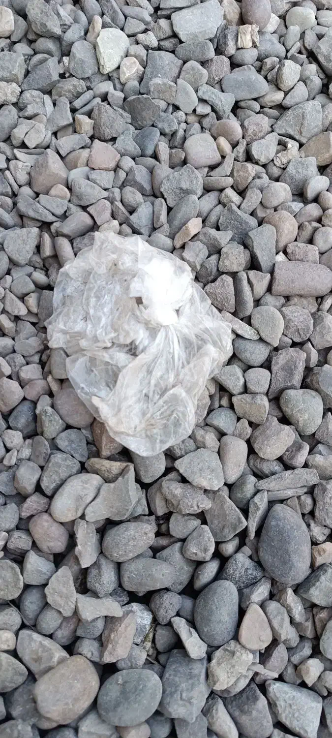 پلاستیک|ظروف نگهدارنده، پلاستیکی، یک‌بارمصرف|لاهیجان, حاجی آباد|دیوار