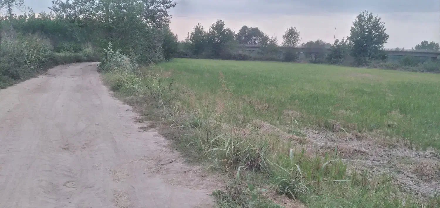 زمین کشاورزی|فروش دفتر صنعتی، کشاورزی، تجاری|کیاشهر, |دیوار