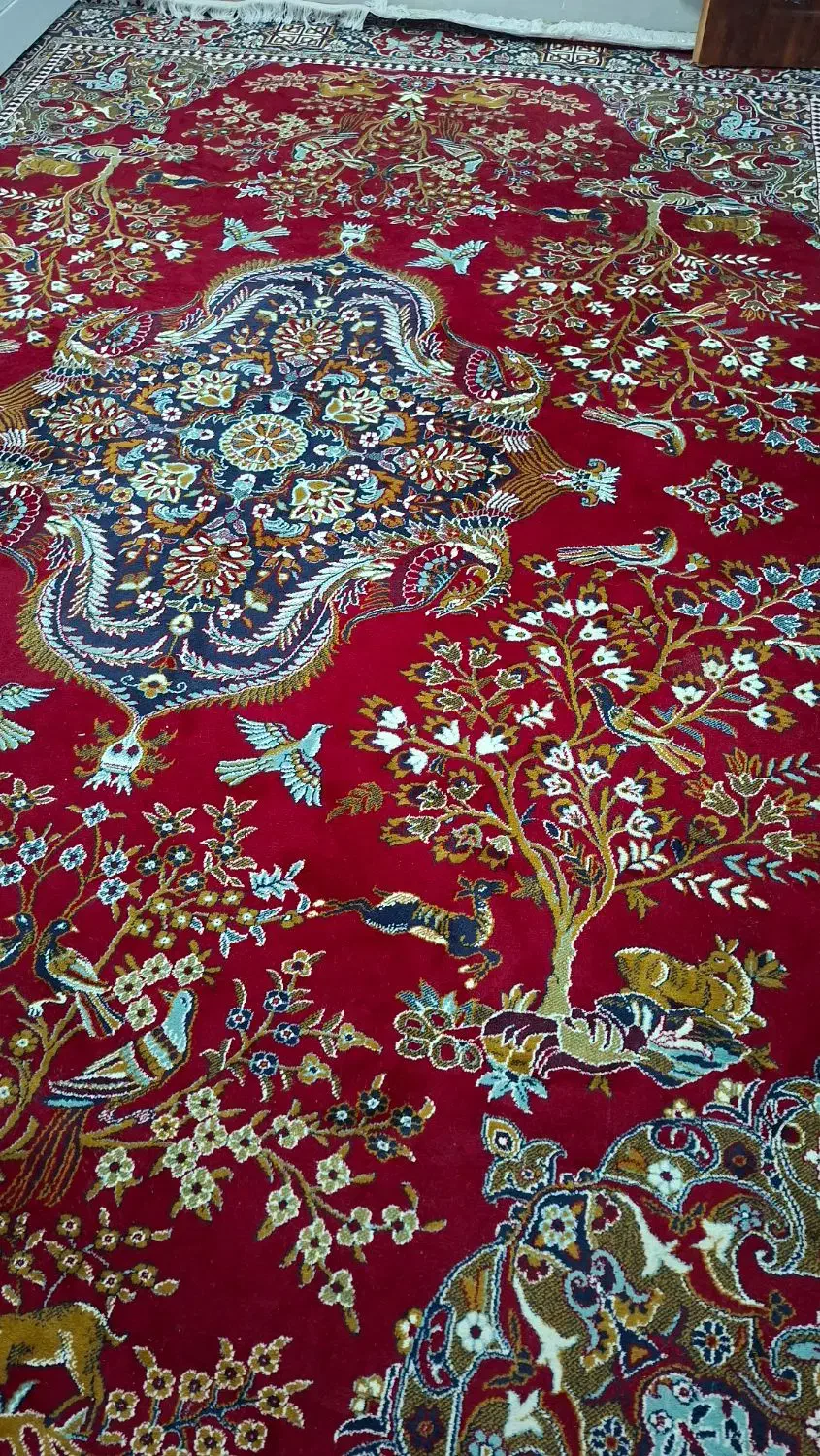 دومدل فرش ۱۲متری ورق بزنید|فرش|بردسکن, |دیوار